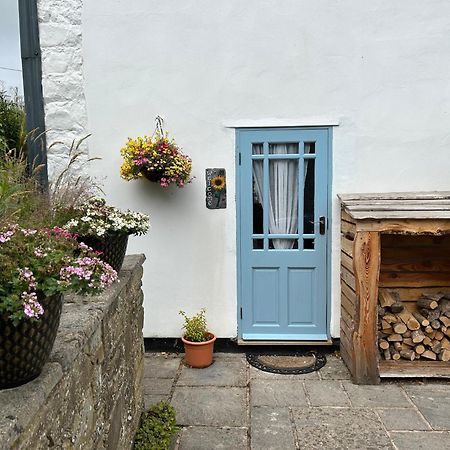 Y Felin Bed And Breakfast And Smallholding Caersws Exterior foto