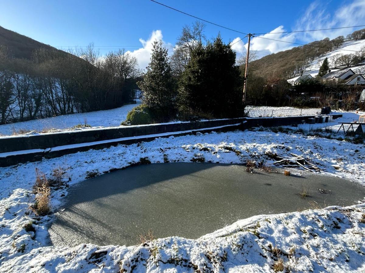 Y Felin Bed And Breakfast And Smallholding Caersws Exterior foto